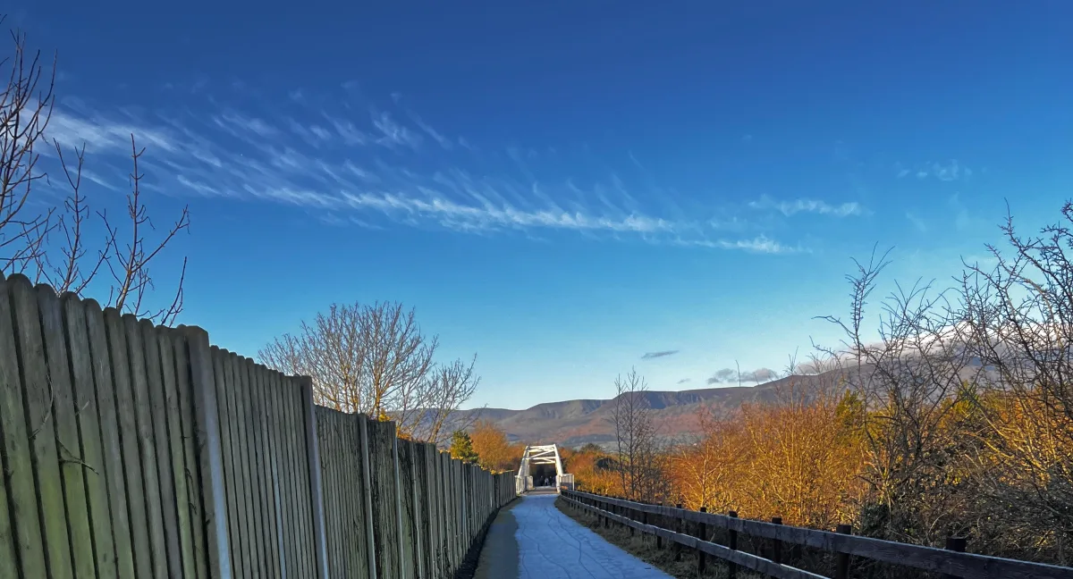 Things to do within 30 Minutes of Waterford City (45 Activities)